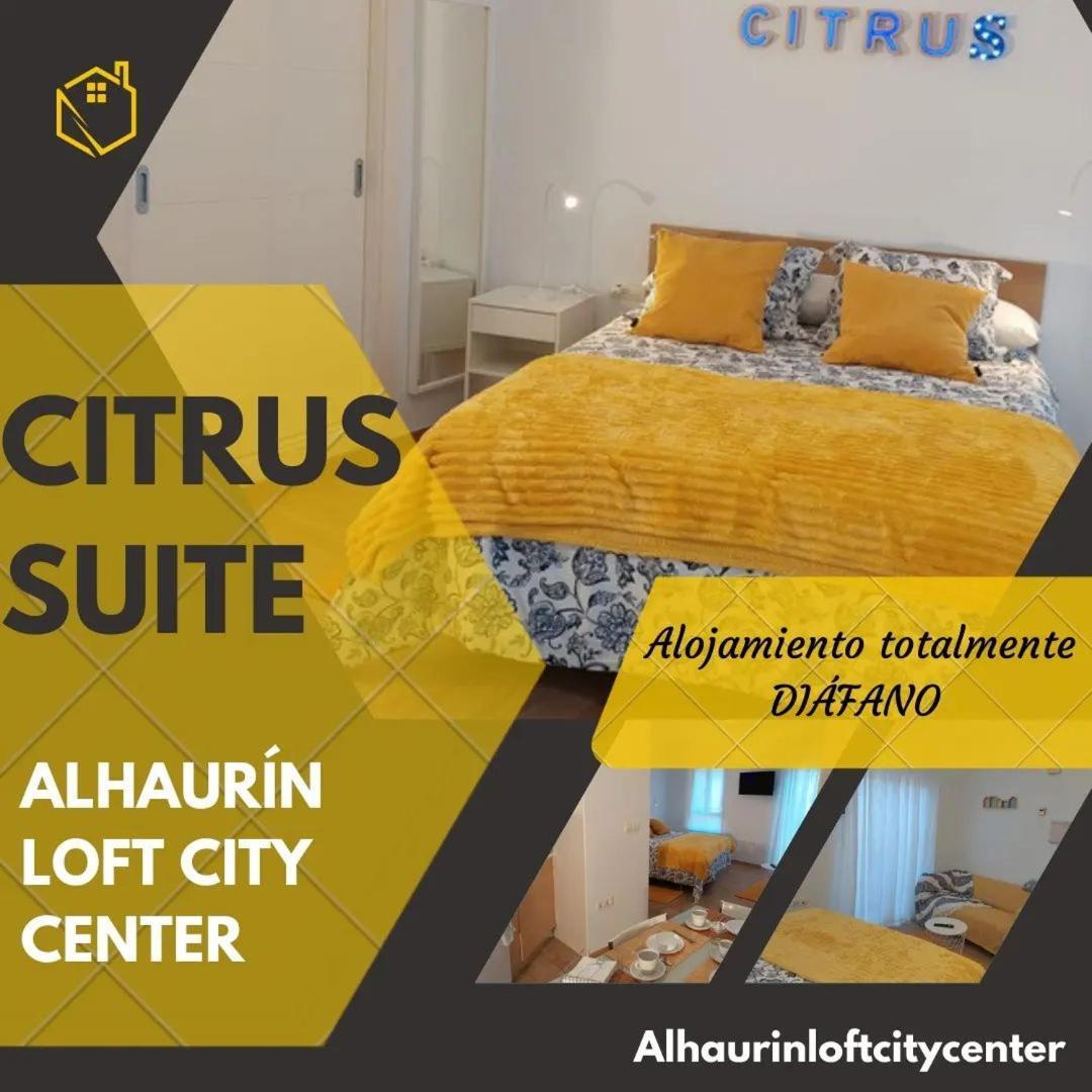 Citrus Suite By Alhaurin Loft City Center 알하우린데라토레 외부 사진