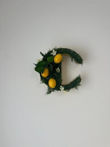 Citrus Suite By Alhaurin Loft City Center 알하우린데라토레 외부 사진