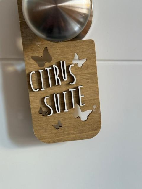 Citrus Suite By Alhaurin Loft City Center 알하우린데라토레 외부 사진