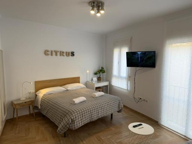 Citrus Suite By Alhaurin Loft City Center 알하우린데라토레 외부 사진